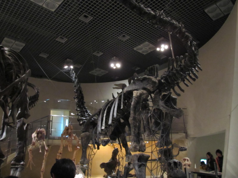 f:id:mariorima:20120406160132j:image:w640 f:id:mariorima:20120406160132j:image:w640