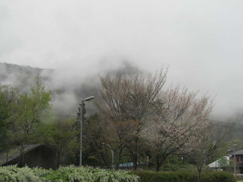 f:id:mariorima:20120503133018j:image:w640 f:id:mariorima:20120503133018j:image:w640