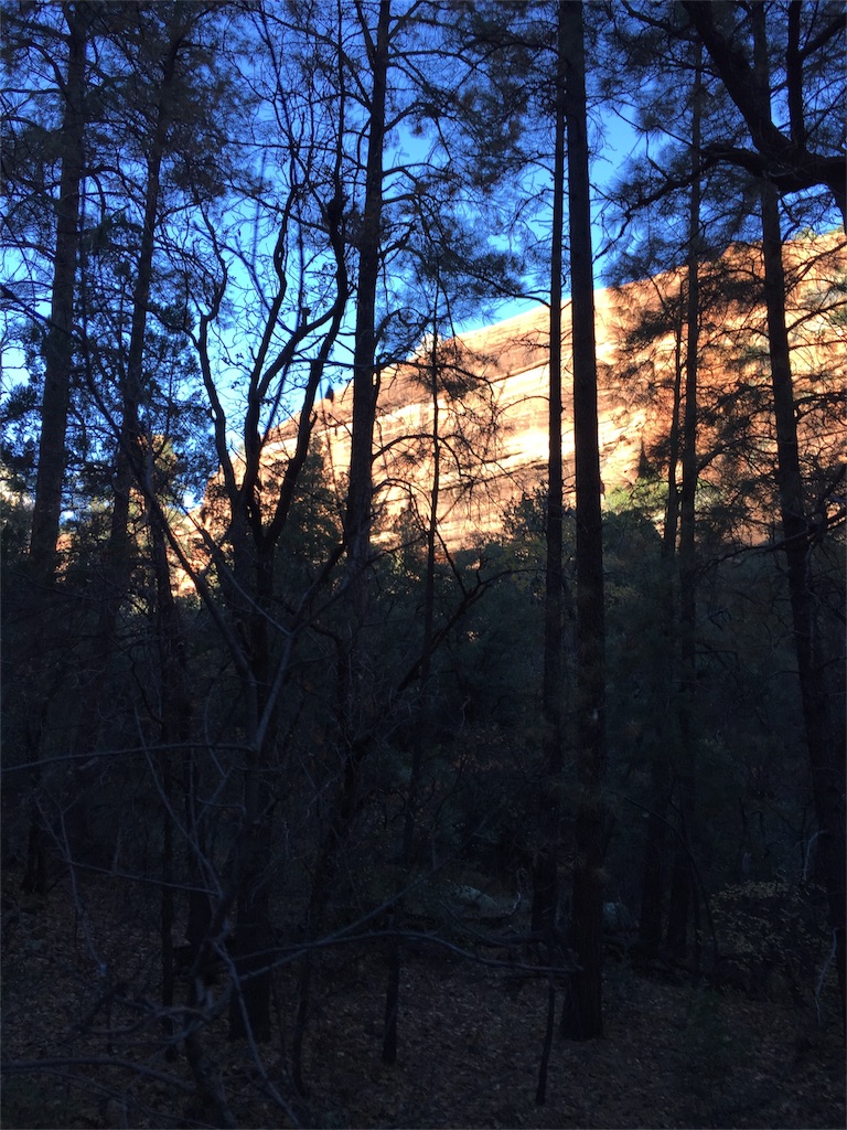 f:id:mariri23:20151125150123j:image f:id:mariri23:20151125150123j:image