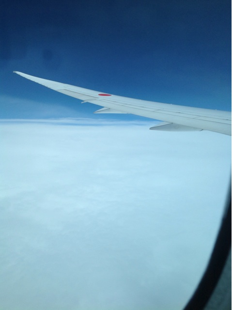 f:id:marishmy:20140807091617j:plain f:id:marishmy:20140807091617j:plain