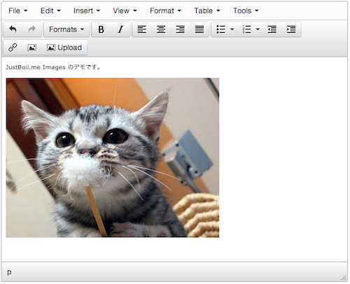 f:id:mariyudu:20131013212607p:plain f:id:mariyudu:20131013212607p:plain