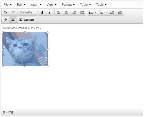 f:id:mariyudu:20131013212841p:plain f:id:mariyudu:20131013212841p:plain