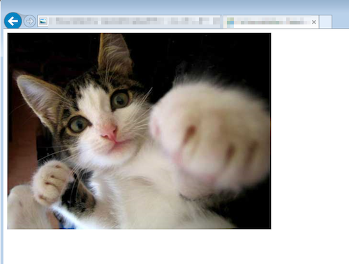 f:id:mariyudu:20140503223609p:plain f:id:mariyudu:20140503223609p:plain