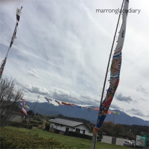f:id:marronglace0226:20160422204110j:image f:id:marronglace0226:20160422204110j:image