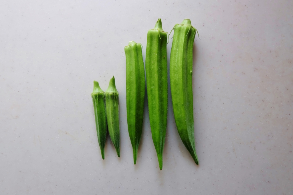 f:id:maruchan_seisan:20150829111441j:plain