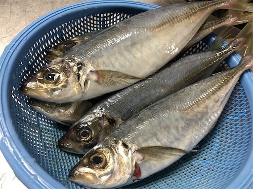 f:id:marucyan-kunimatsu:20151114140024j:image f:id:marucyan-kunimatsu:20151114140024j:image