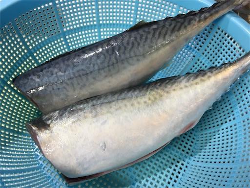 f:id:marucyan-kunimatsu:20151119135923j:image f:id:marucyan-kunimatsu:20151119135923j:image