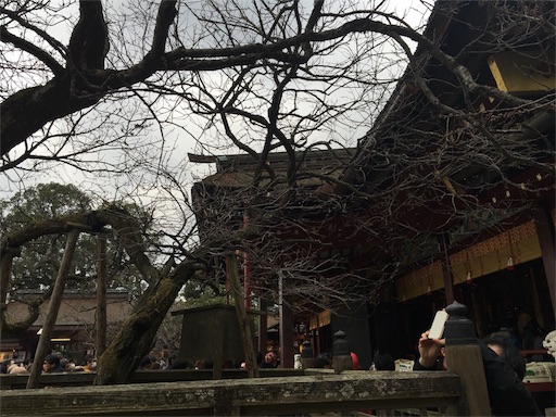 f:id:marucyan-kunimatsu:20160111135954j:image f:id:marucyan-kunimatsu:20160111135954j:image
