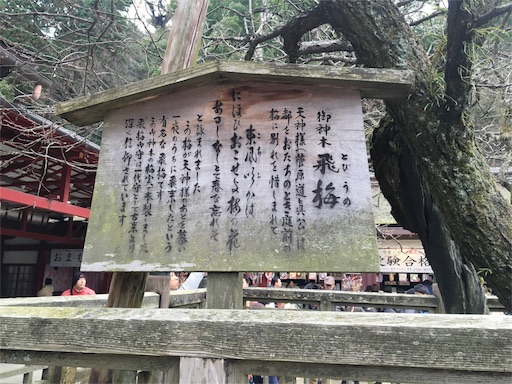 f:id:marucyan-kunimatsu:20160111140036j:image f:id:marucyan-kunimatsu:20160111140036j:image