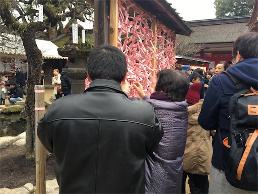 f:id:marucyan-kunimatsu:20160111140122j:image f:id:marucyan-kunimatsu:20160111140122j:image