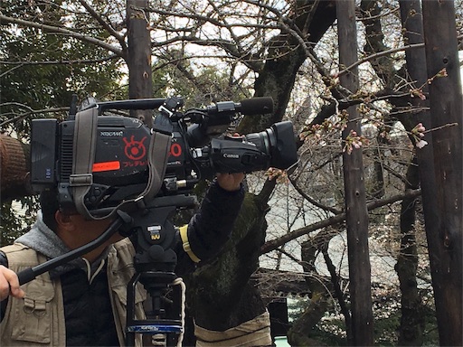 f:id:marucyan-kunimatsu:20160321231946j:image f:id:marucyan-kunimatsu:20160321231946j:image
