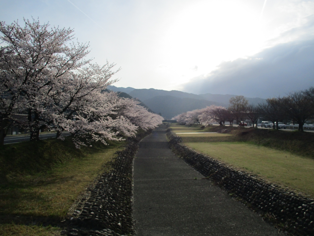 f:id:marufoi:20160404013151j:plain f:id:marufoi:20160404013151j:plain