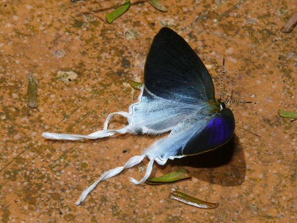 f:id:maruyamana:20070415132047j:image f:id:maruyamana:20070415132047j:image