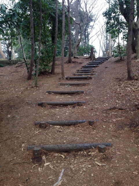 f:id:masa002:20150301145452j:plain f:id:masa002:20150301145452j:plain