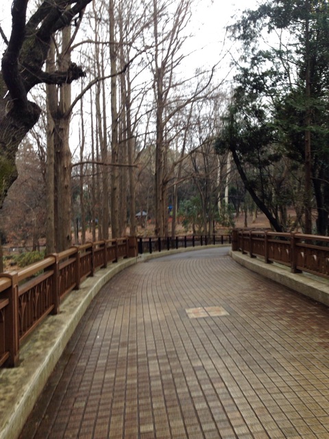 f:id:masa002:20150301145945j:plain f:id:masa002:20150301145945j:plain