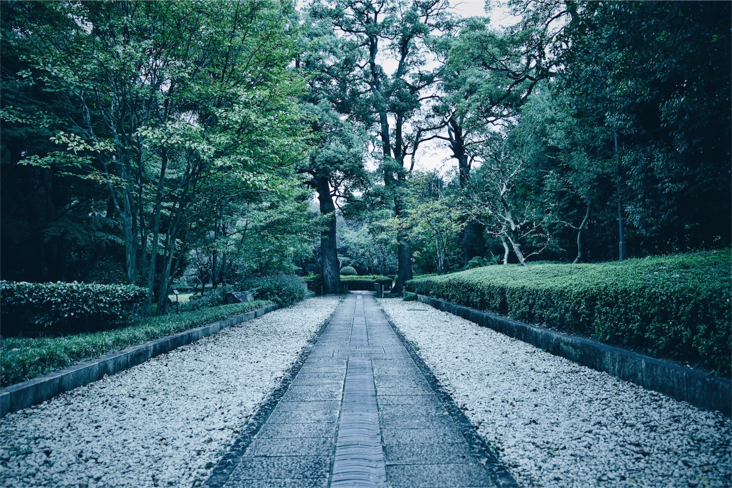 f:id:masa8609:20160522092915j:image f:id:masa8609:20160522092915j:image
