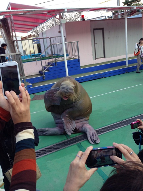 f:id:masaemon2:20131109222507j:plain f:id:masaemon2:20131109222507j:plain