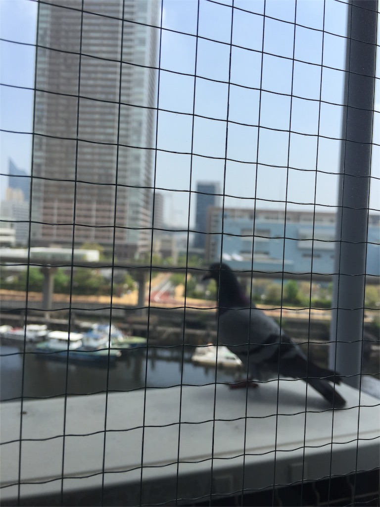 f:id:masaharu-nagan:20160501144837j:image f:id:masaharu-nagan:20160501144837j:image