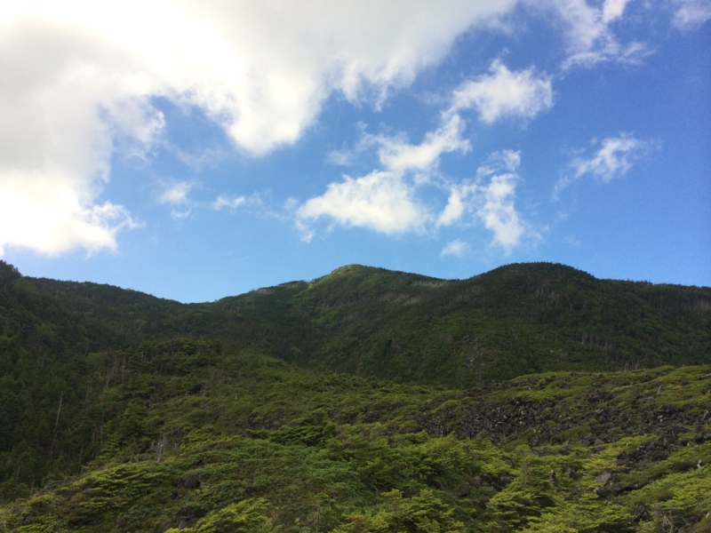 f:id:masahito0989:20140726143134j:plain