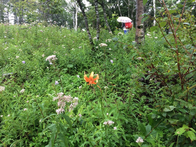 f:id:masahito0989:20140814091131j:plain