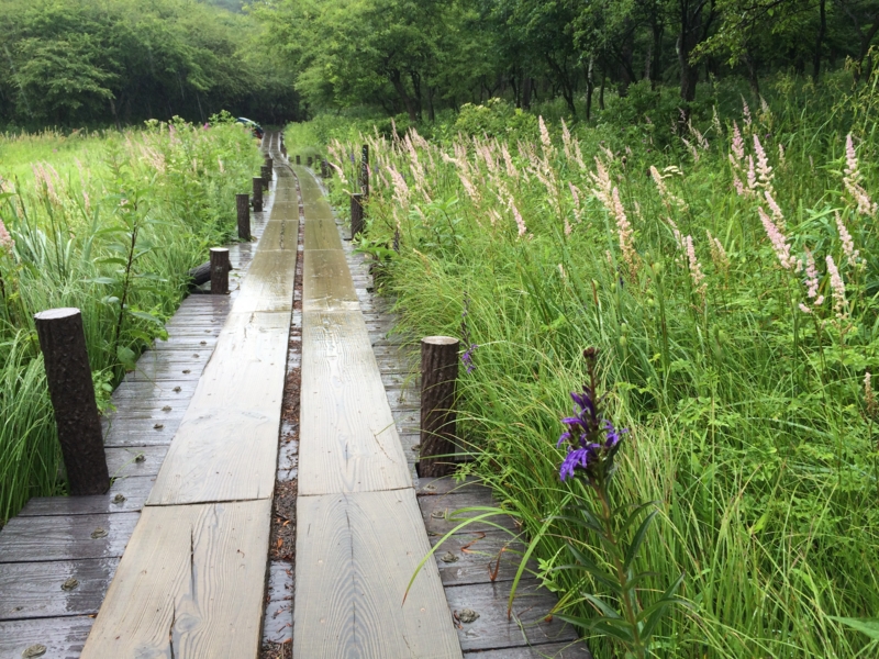 f:id:masahito0989:20140814092519j:plain