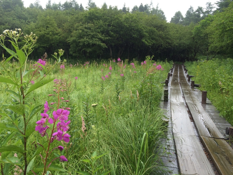 f:id:masahito0989:20140814092628j:plain