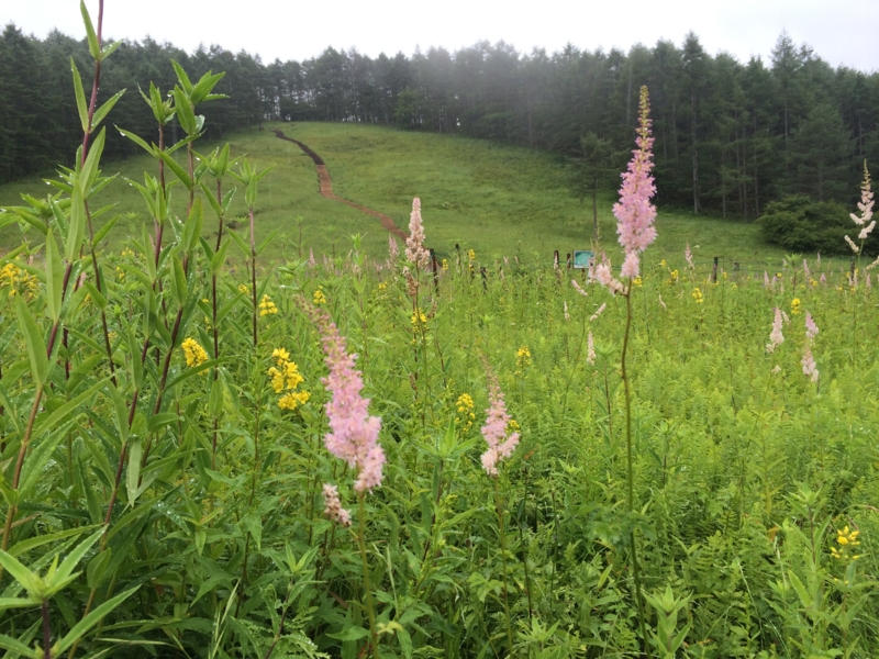 f:id:masahito0989:20140814093017j:plain