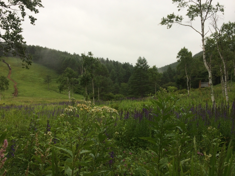 f:id:masahito0989:20140814093325j:plain