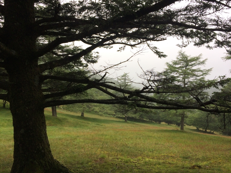 f:id:masahito0989:20140814100125j:plain