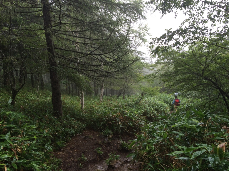 f:id:masahito0989:20140814103554j:plain