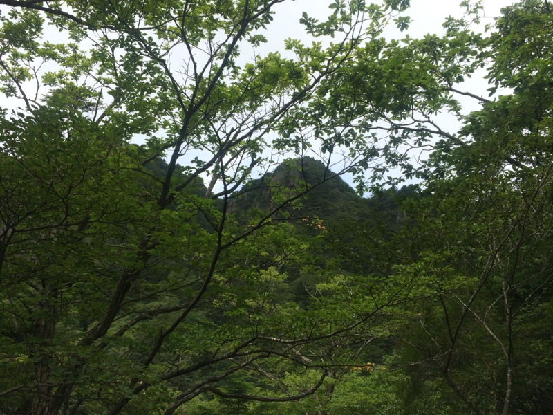 f:id:masahito0989:20140824110856j:plain