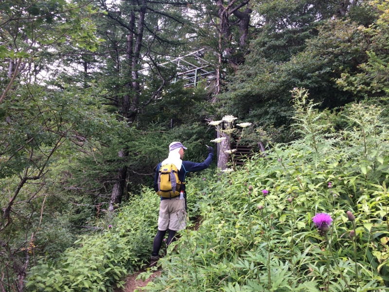 f:id:masahito0989:20140824114744j:plain