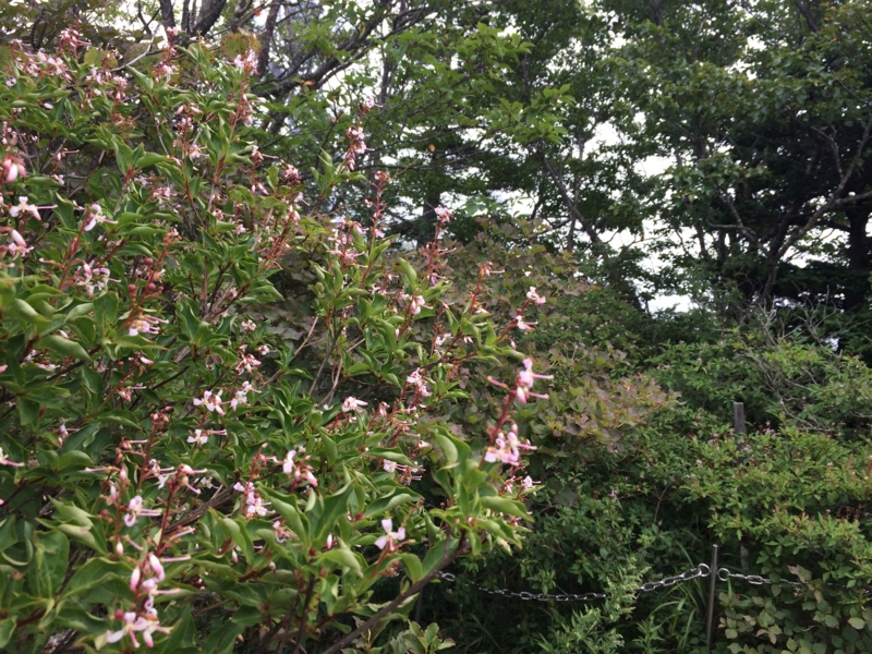 f:id:masahito0989:20140824121549j:plain