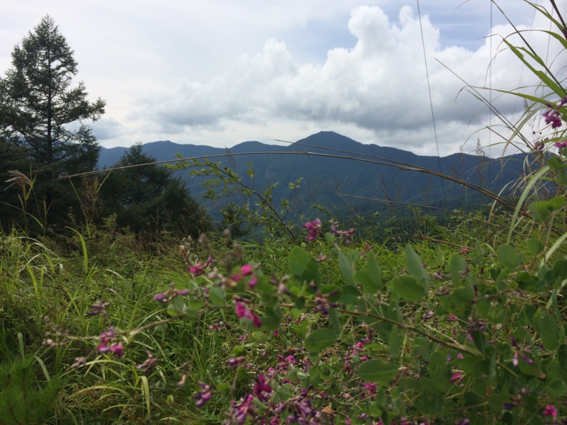 f:id:masahito0989:20140824140636j:plain