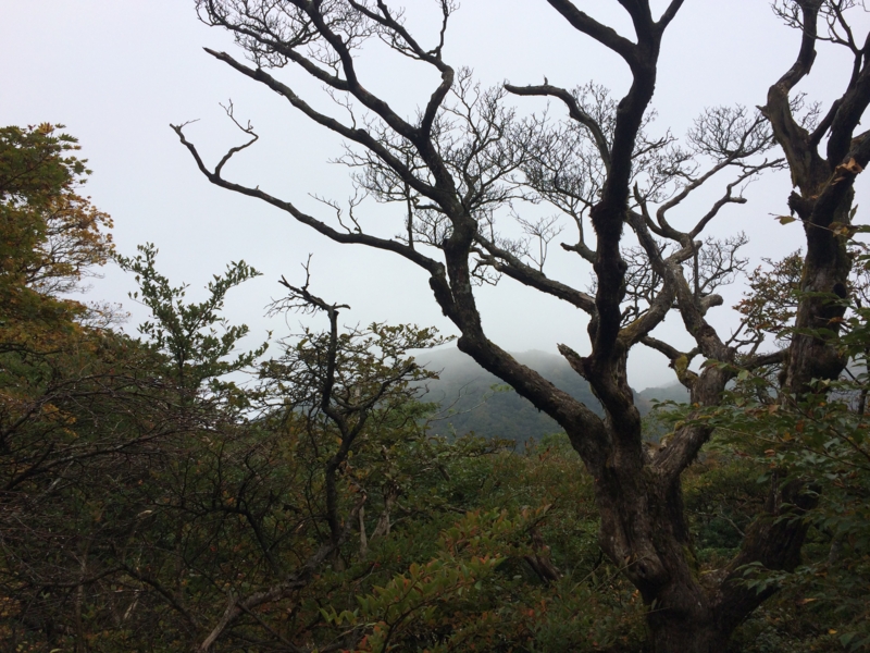 f:id:masahito0989:20141012110659j:plain