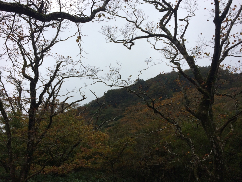 f:id:masahito0989:20141012112942j:plain