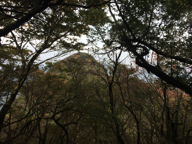 f:id:masahito0989:20141012125201j:plain