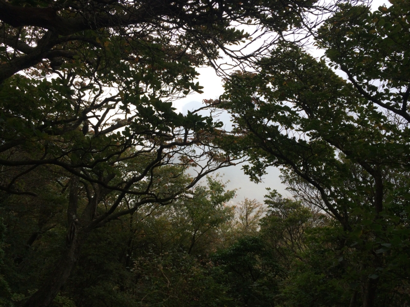 f:id:masahito0989:20141012134830j:plain