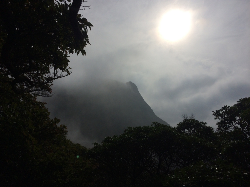 f:id:masahito0989:20141012140323j:plain