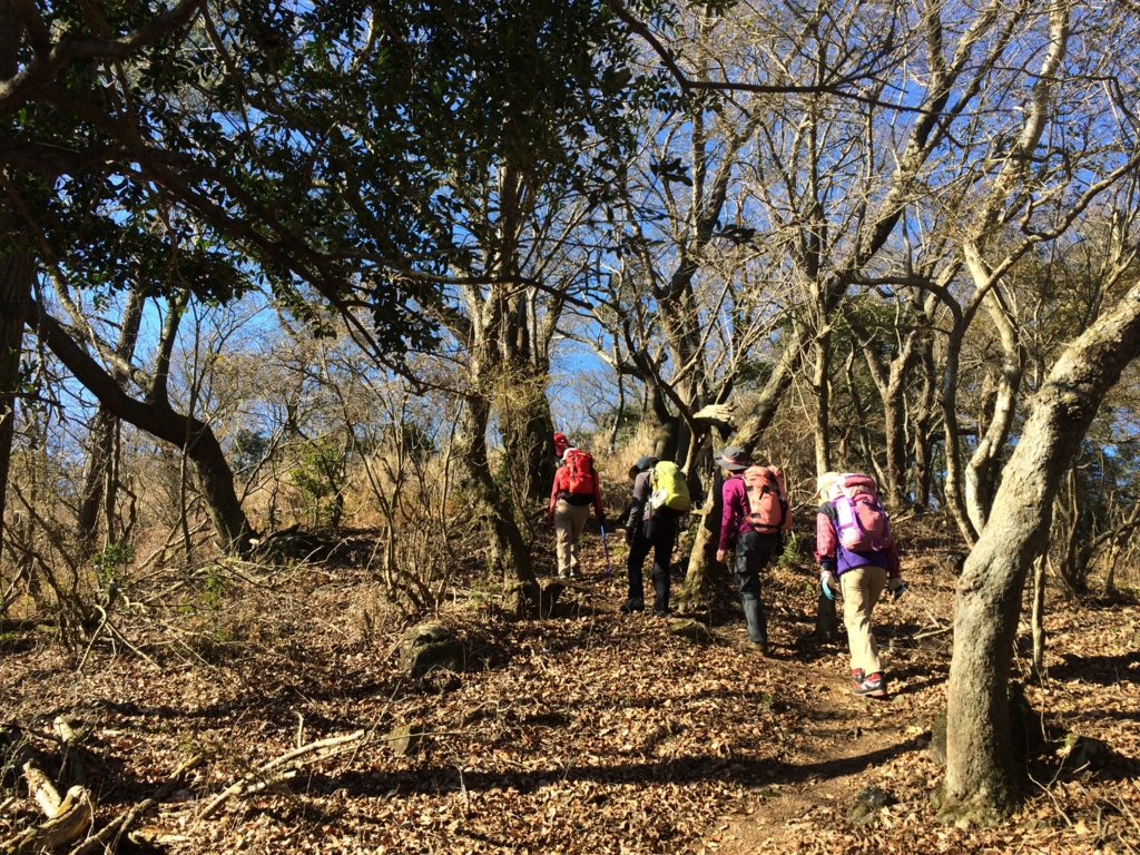 f:id:masahito0989:20160110102829j:plain