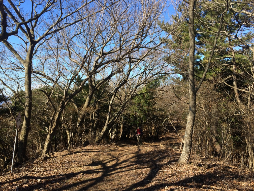 f:id:masahito0989:20160110111728j:plain