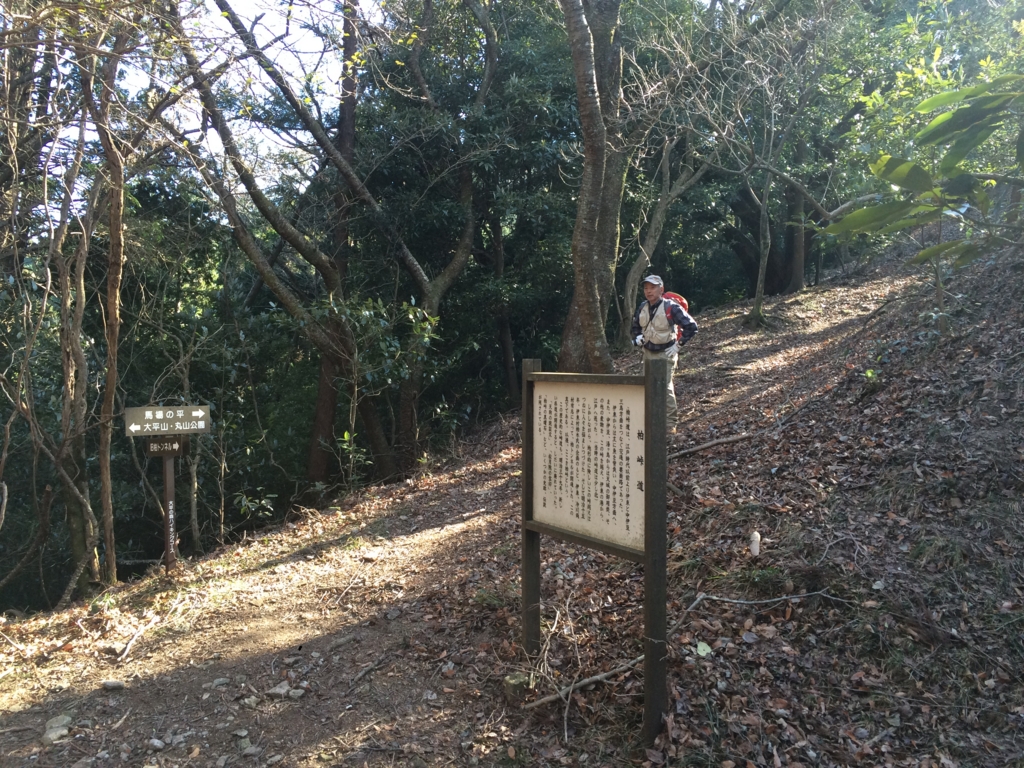 f:id:masahito0989:20160110124221j:plain