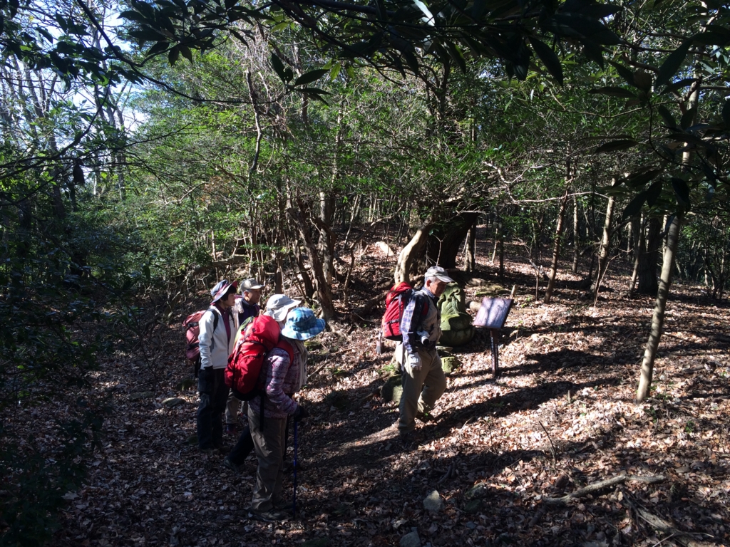 f:id:masahito0989:20160110131019j:plain