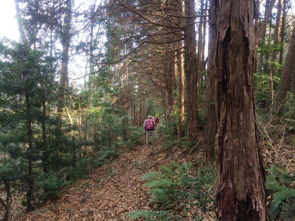 f:id:masahito0989:20160110135623j:plain