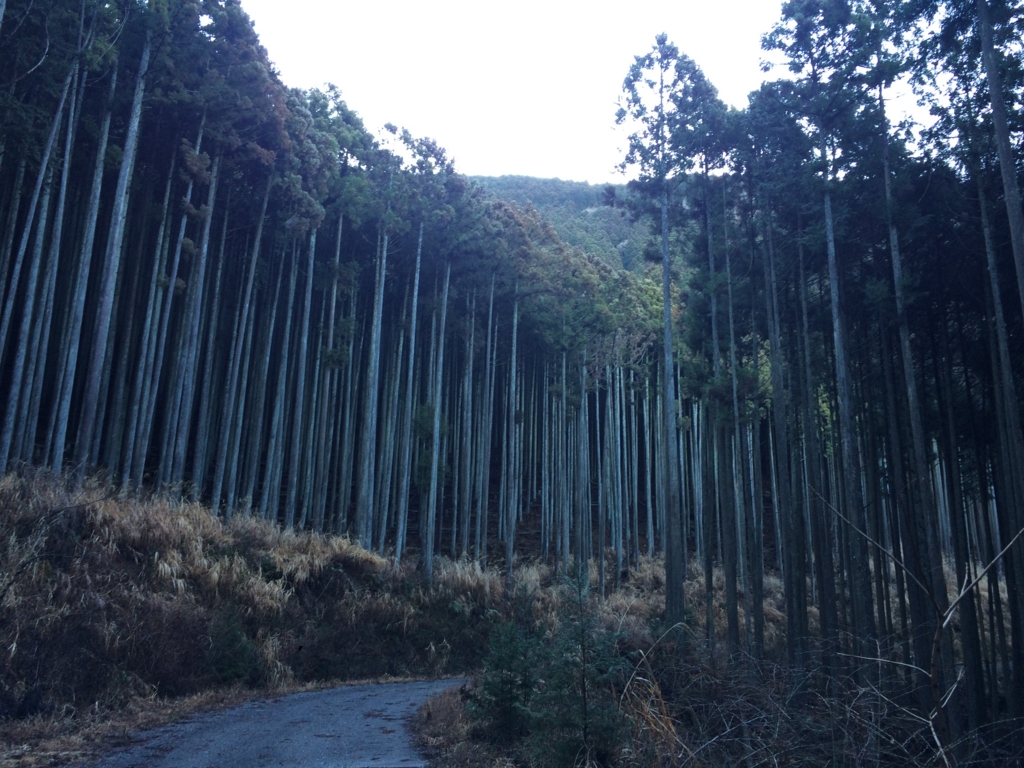 f:id:masahito0989:20160221075628j:plain