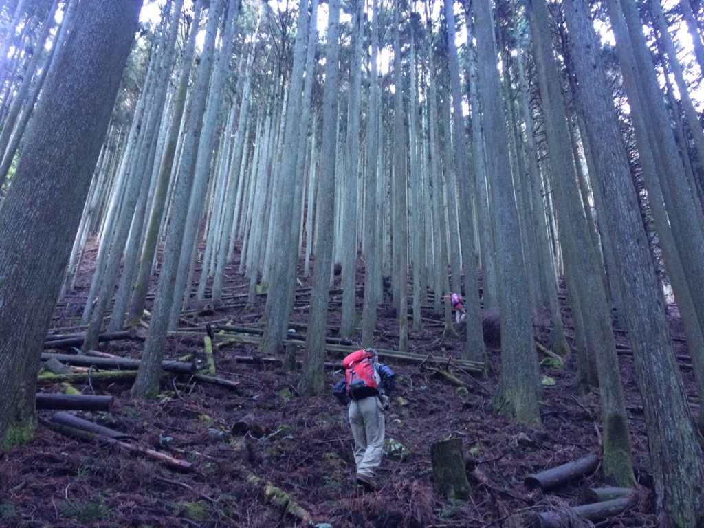 f:id:masahito0989:20160221081905j:plain