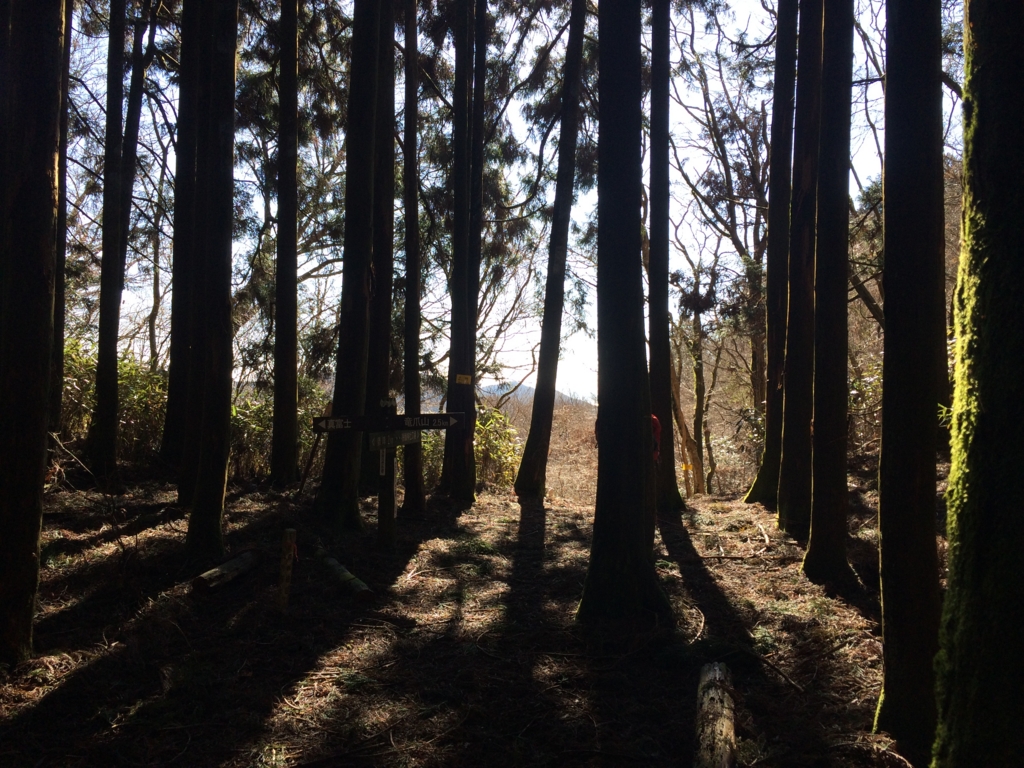 f:id:masahito0989:20160221091749j:plain