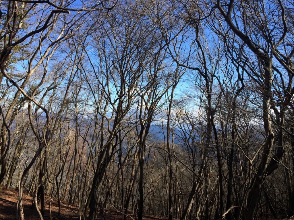 f:id:masahito0989:20160221100139j:plain