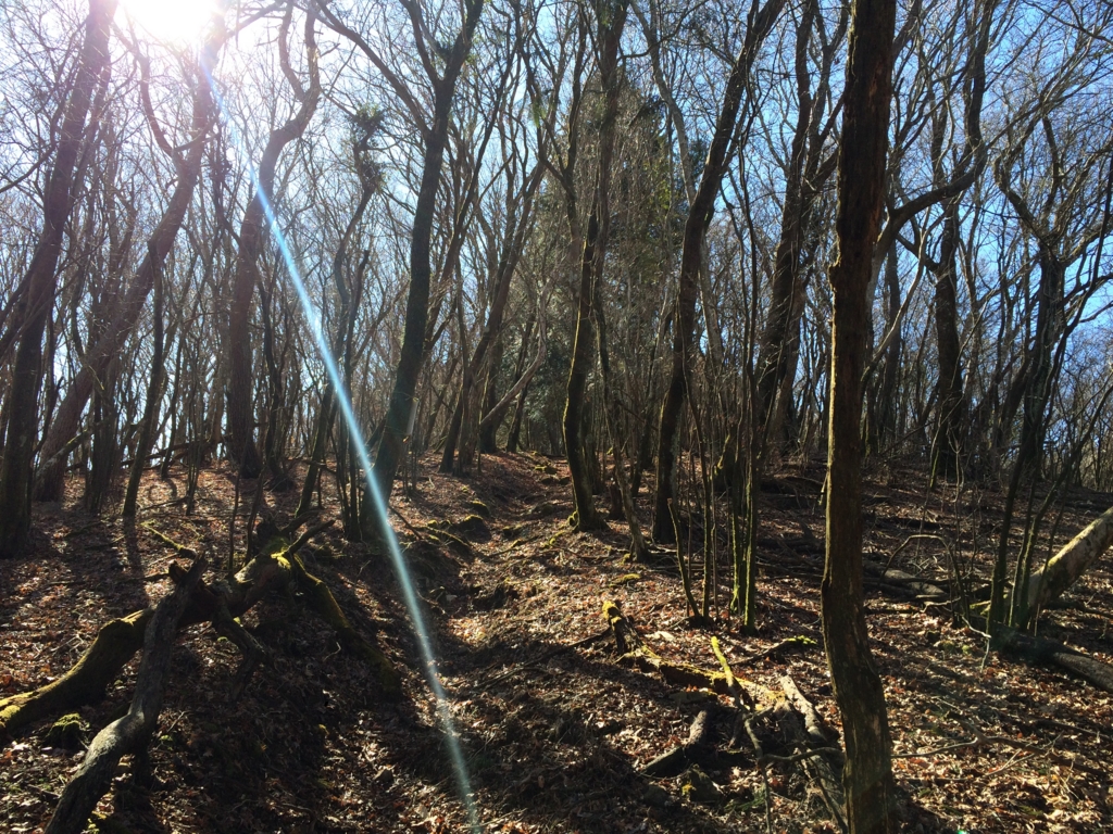 f:id:masahito0989:20160221100453j:plain