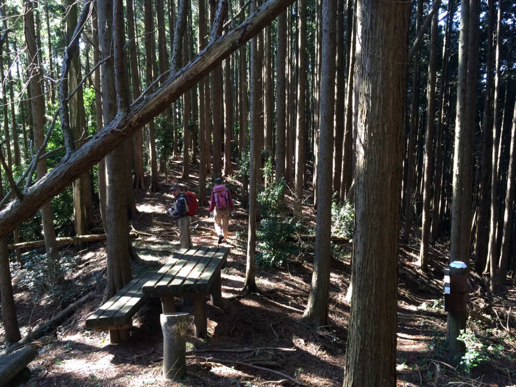 f:id:masahito0989:20160221132121j:plain